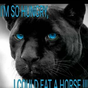 Meet your Posher, Suzanne