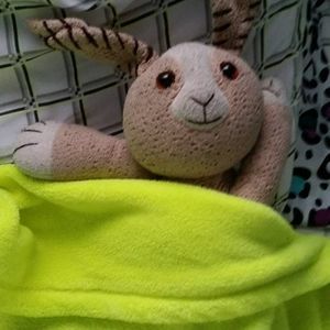 Meet your Posher, Cory