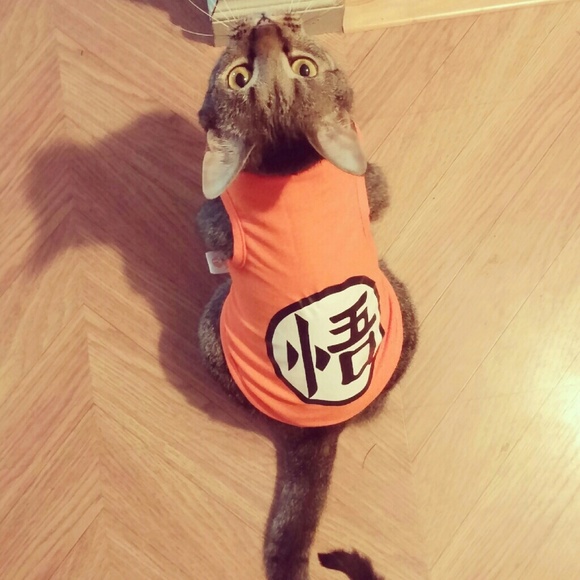 Meet your Posher, Simone - Picture 4 of 4