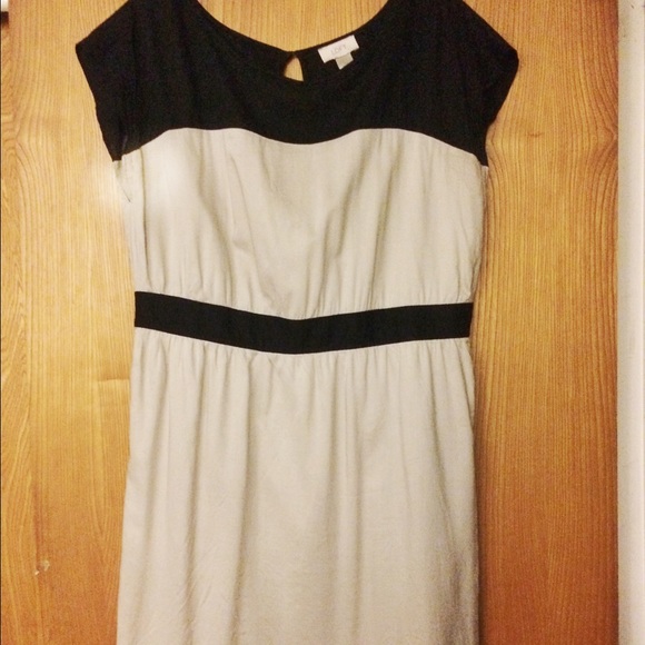 Loft sheath dress size 12