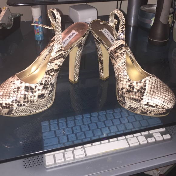 Snake skin Steven madden heels