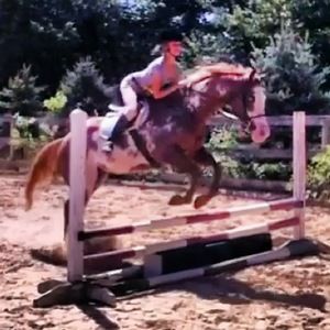 Meet your Posher, Corinne