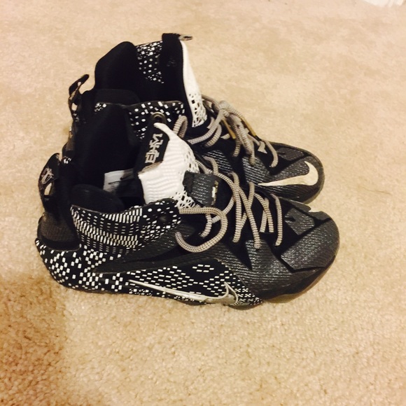 Lebron 12's Black History Month Edition