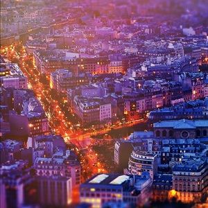 Meet your Posher, Bailey