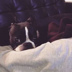 Meet your Posher, Katie