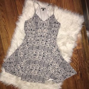 Express Snakeskin Print Skater Dress