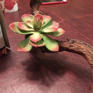 Meet your Posher, Muhammad