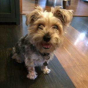 Meet your Posher, Alexandria