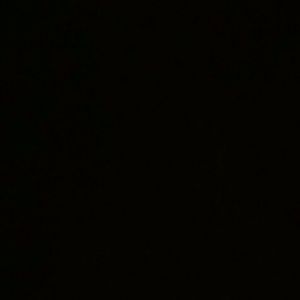 Meet your Posher, Alfred