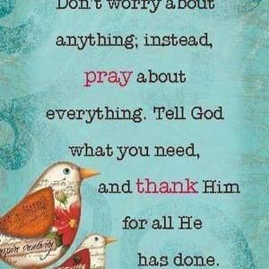 Meet your Posher, Karla