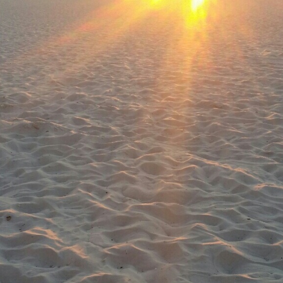 Meet your Posher, Jamie - Picture 1 of 1