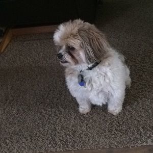 Meet your Posher, Ryleigh