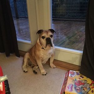 Meet your Posher, Robin