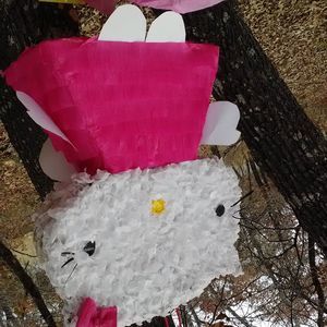 Meet your Posher, Lesli