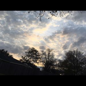 Meet your Posher, Riley