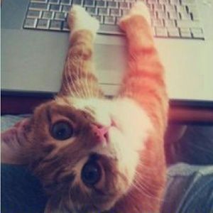 Meet your Posher, Camilla