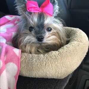 Meet your Posher, Rhonda