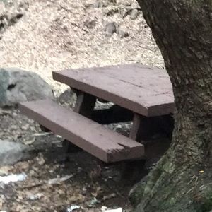 Meet your Posher, Marcella