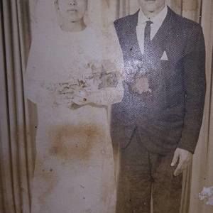 Meet your Posher, Delia