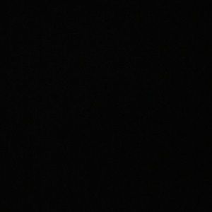 Meet your Posher, Bella