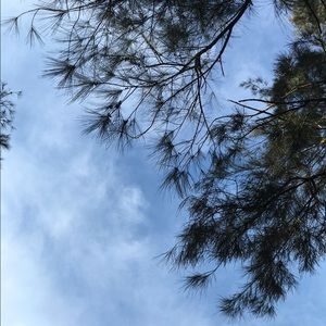 Meet your Posher, Cherish