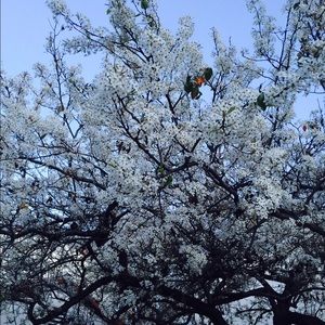 Meet your Posher, Sujin