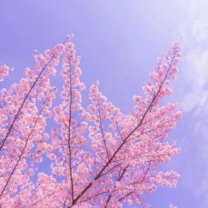 Meet your Posher, Ayla