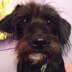 Meet your Posher, Andrew