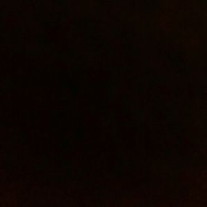 Meet your Posher, Shonda