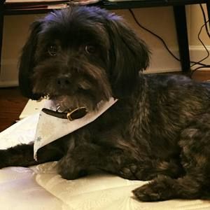 Meet your Posher, Clariza