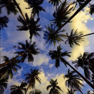 Meet your Posher, Adriana