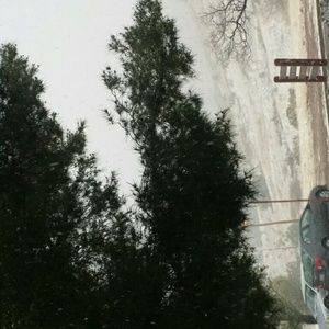 Meet your Posher, Betty