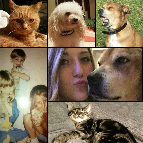 Meet your Posher, Diane - Picture 3 of 4