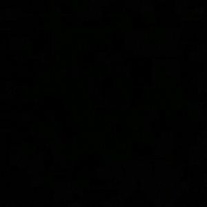 Meet your Posher, Maya