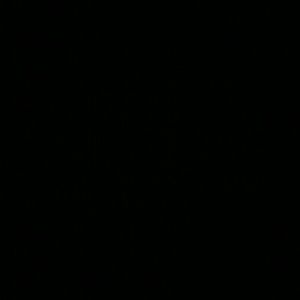 Meet your Posher, Kelli