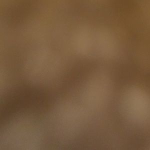 Meet your Posher, Larisa