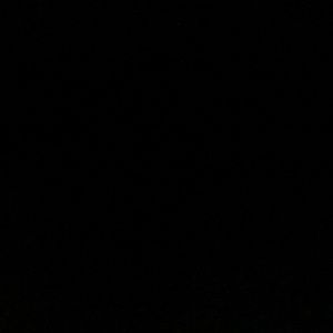 Meet your Posher, Dee