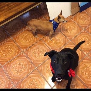 Meet your Posher, Evelyn