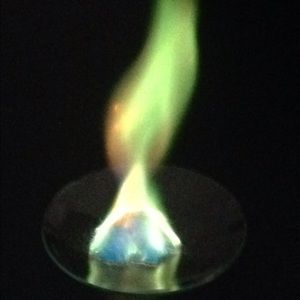 Meet your Posher, Aisha