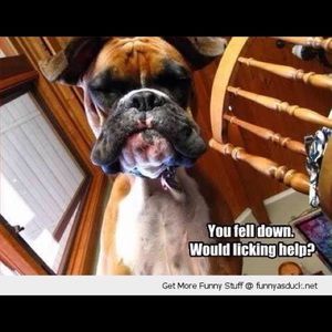 Meet your Posher, Joanne