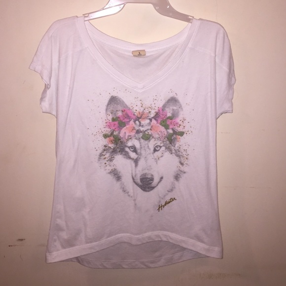 Hollister floral wolf shirt. Nwot