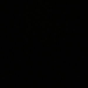 Meet your Posher, Paige