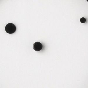 Meet your Posher, Katrina