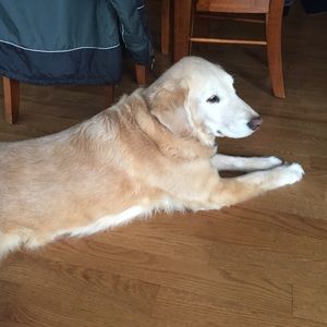 Meet your Posher, Marie