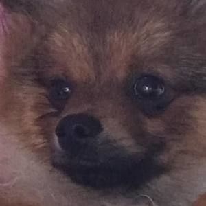 Meet your Posher, Sue