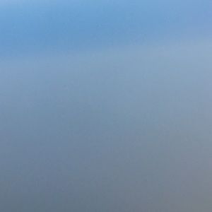 Meet your Posher, Lilly