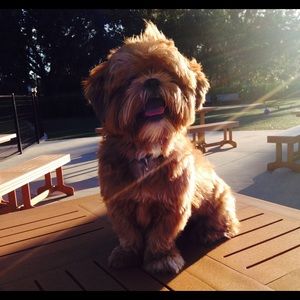 Meet your Posher, Kate