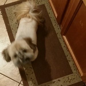 Meet your Posher, Glenn