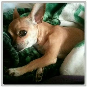 Meet your Posher, Sabrina