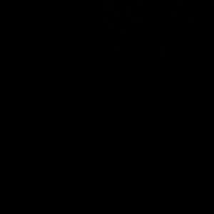 Meet your Posher, Kenneth